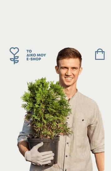eshop store florist
